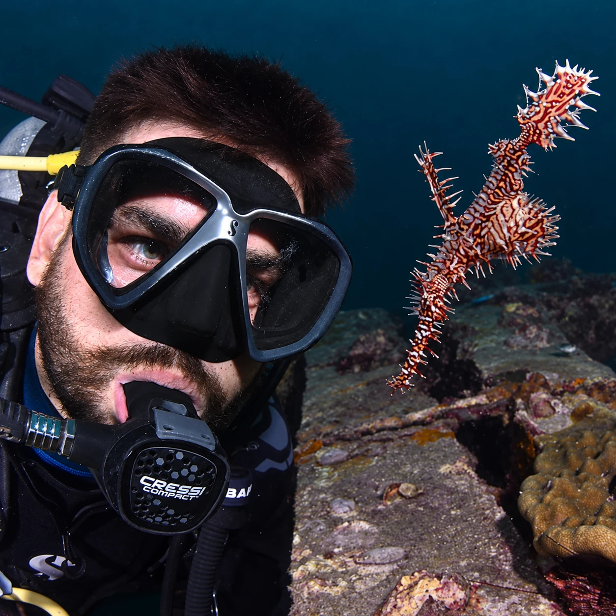 Ondra diving beside an ornate ghost pipefish